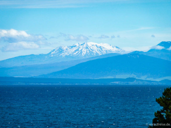 Blick auf den Mount Ruapehu im Hintergrund und Lake Taupo im Vordergrund, Nordinsel Neuseeland
